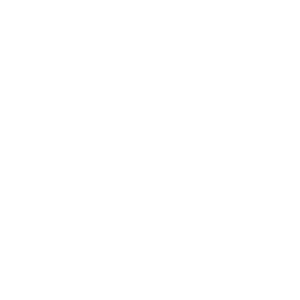 Squid Ink